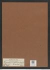 Triceratium grande ? f. pentagonium Pant. (de-Toni-Nr.: Genus 138, Species 3691) Zeichnungen Sammlung Grunow Mappe 03804 (Herbarium_W_Grunow_drawings_Folder_03804)